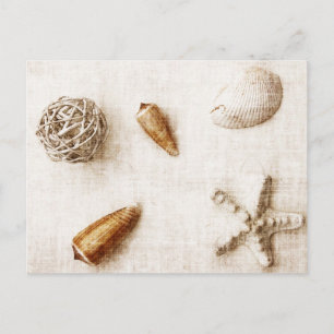 seashells postcard
