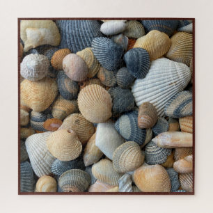 SEASHELLS PUZZLE---BIG CHALLENGE! JIGSAW PUZZLE