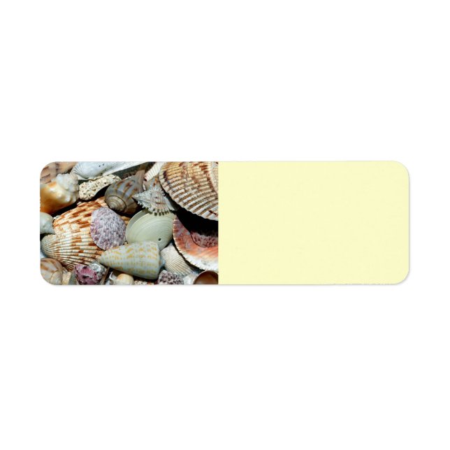 seashells return address label (Front)