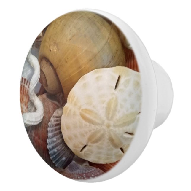 Seashells Sand Dollar Beach Theme Ceramic Knob (Right)