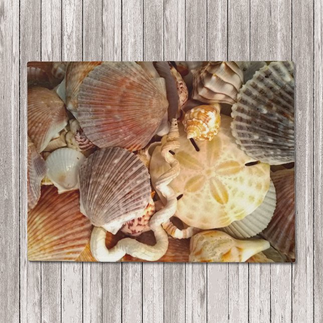 Seashells Sand Dollar Beach Theme Doormat (Creator Uploaded)