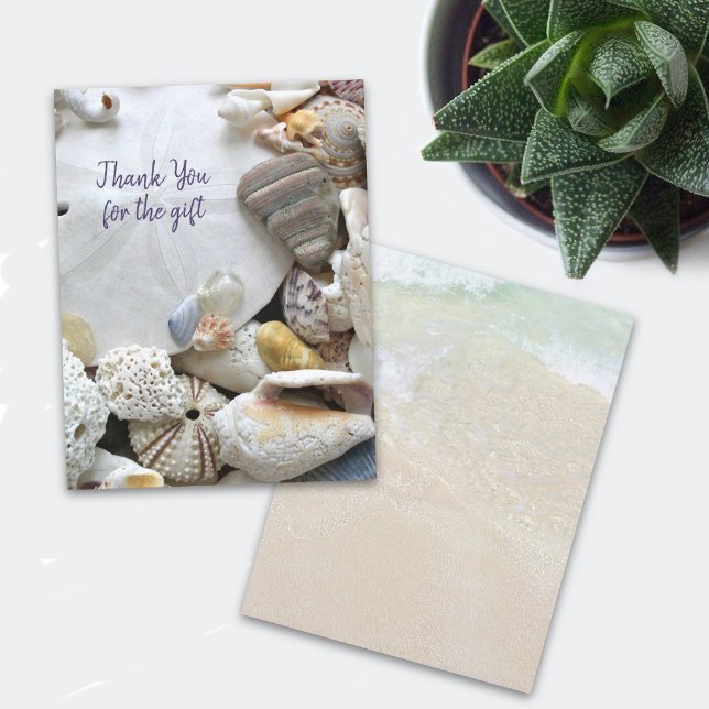Seashells Sand Dollar Flat All Occasion Blank Announcement (Creator Uploaded)