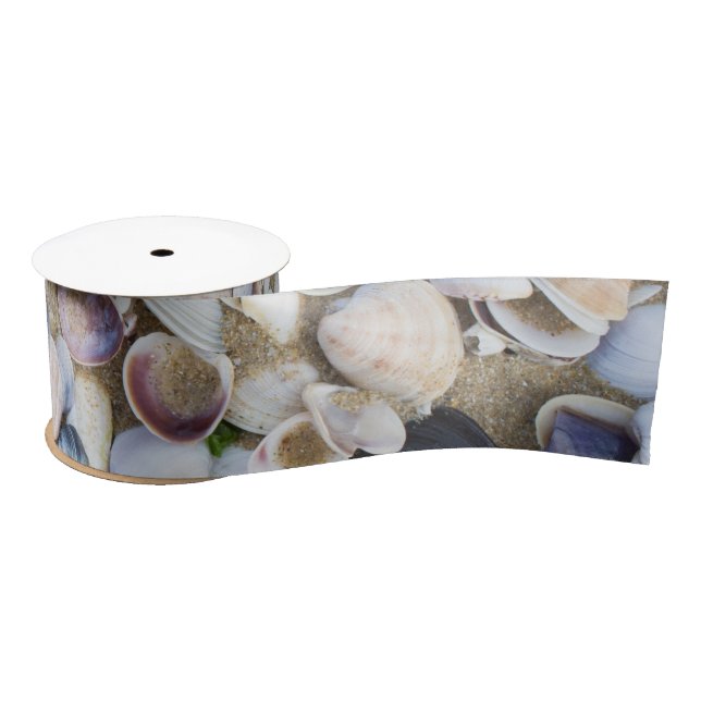 Seashells Satin Ribbon (Spool)