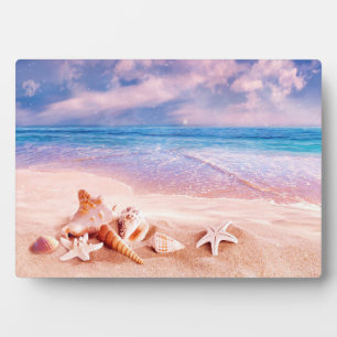 Seashells Sea Beach Plaque