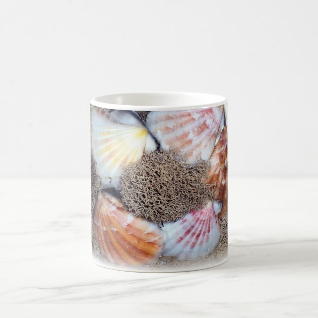 Seashells Shells Colourful Photography Art Coffee Mug (Center)