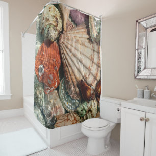 Seashells Shower Curtain