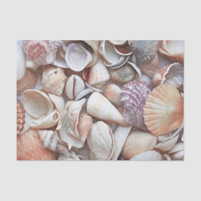 Seashells Sketch Ocean Nautical Beach Decoupage Tissue Paper (Front)