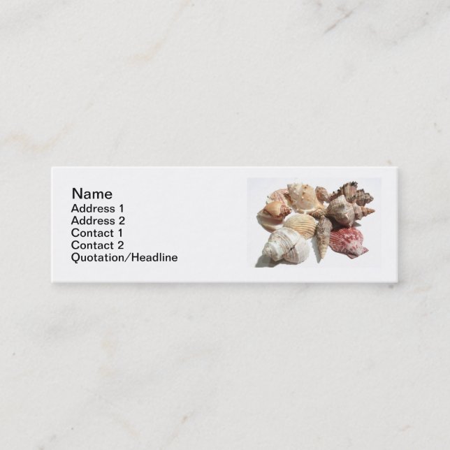 Seashells skinny business cards (Front)