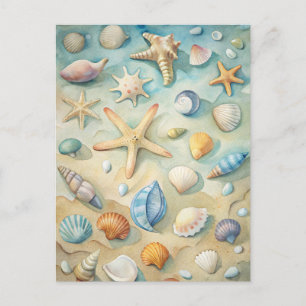 Seashells Starfish Coastal Beach Nautical Art Postcard