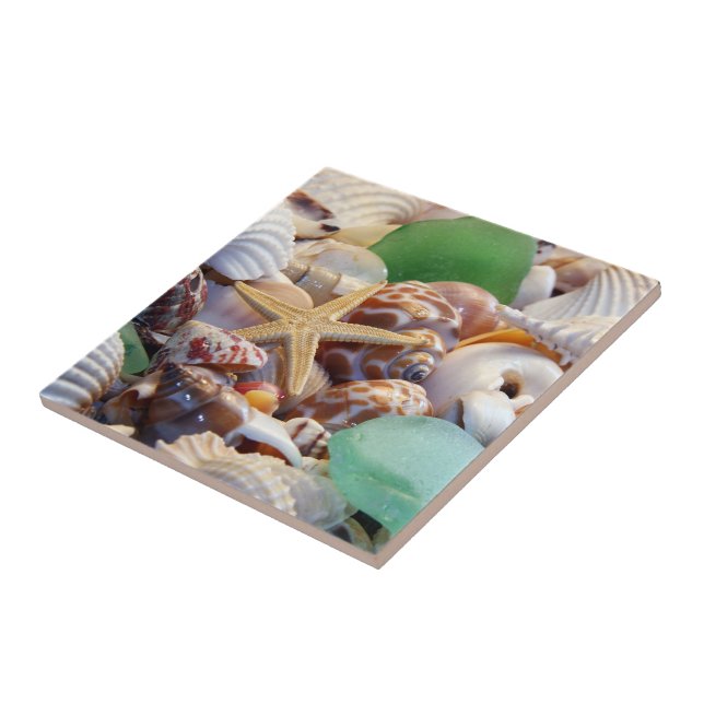 Seashells & Starfish Tile (Side)