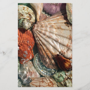 Seashells Stationery