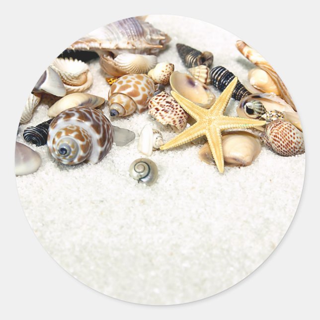 Seashells Stickers (Front)