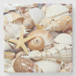 Seashells Stone Coaster
