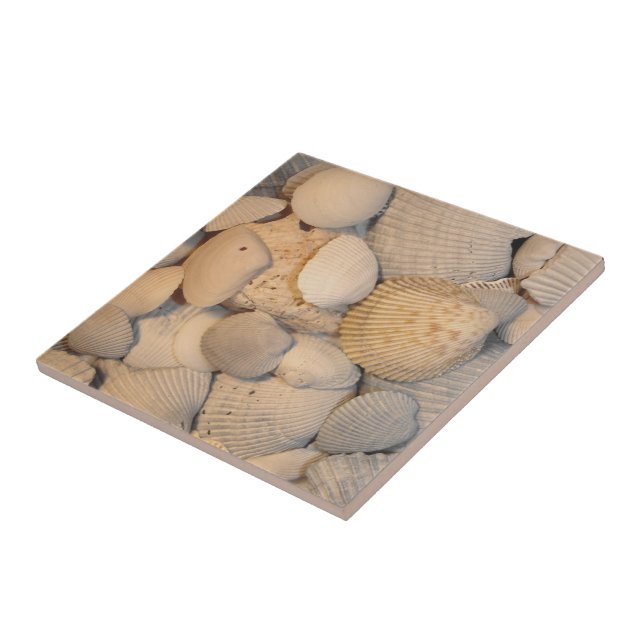 Seashells Tile (Side)