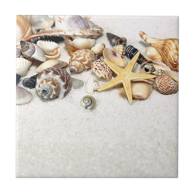 Seashells Tile (Front)