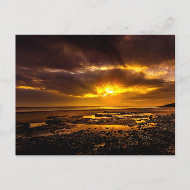 Seashore During Sunset Postcard (Front)