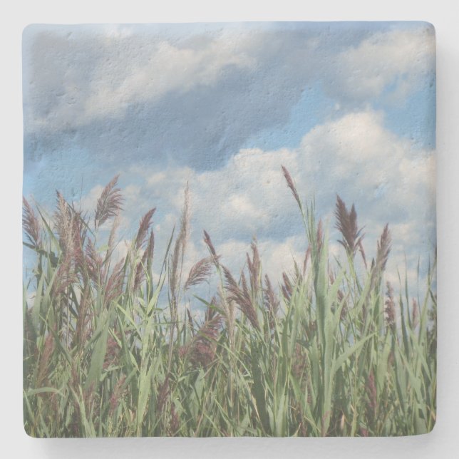 Seashore Marsh Grass Stone Coaster (Front)
