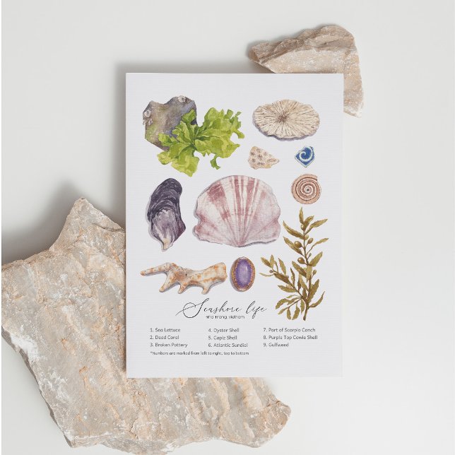 Seashore Postcard (Creator Uploaded)