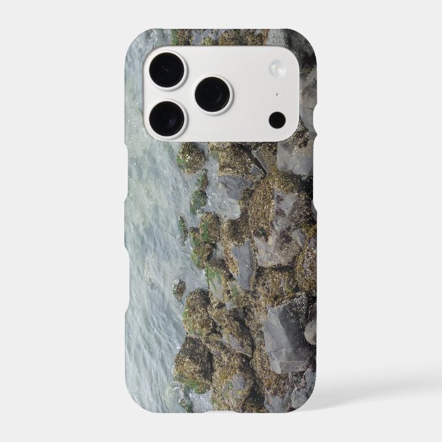 seashore rocks (Back)