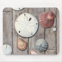 Seashore Treasures