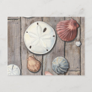Seashore Treasures Postcard