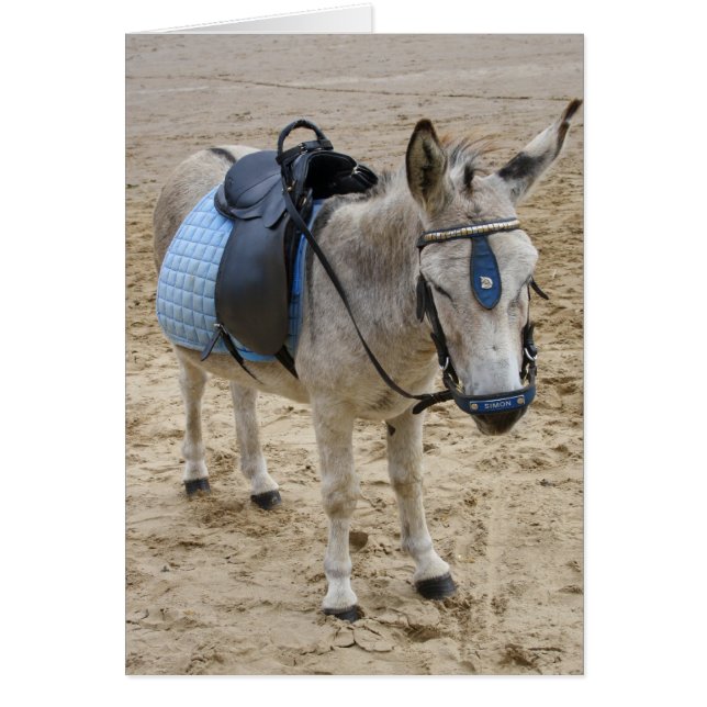 Seaside Donkey (Front)