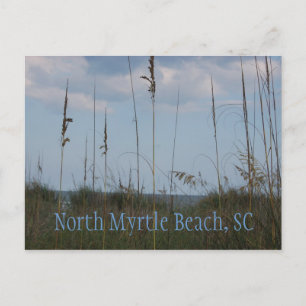 Seaside Dreams - North Myrtle Beach, SC Postcard