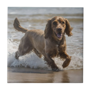 "Seaside Fun: A Cocker Spaniel Play in the Ocean Ceramic Tile