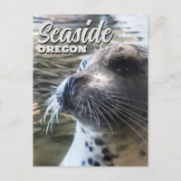 Seaside, Oregon Baby Seal Sealion