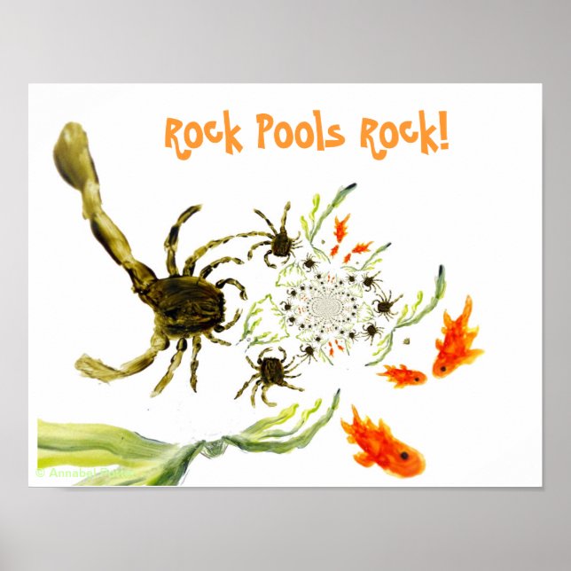 Seaside Rock Pool Funny Crabs Fish Poster (Front)