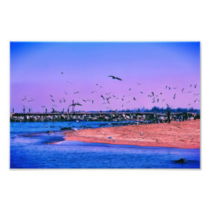 Seaside Scene with Flying Birds and Fishermen Photo Print