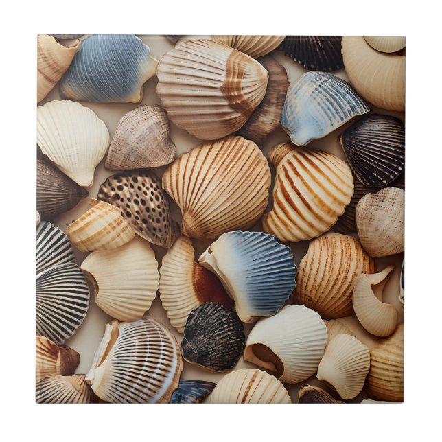 Seaside Seashells Ceramic Tile (Front)