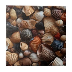 Seaside Seashells Ceramic Tile