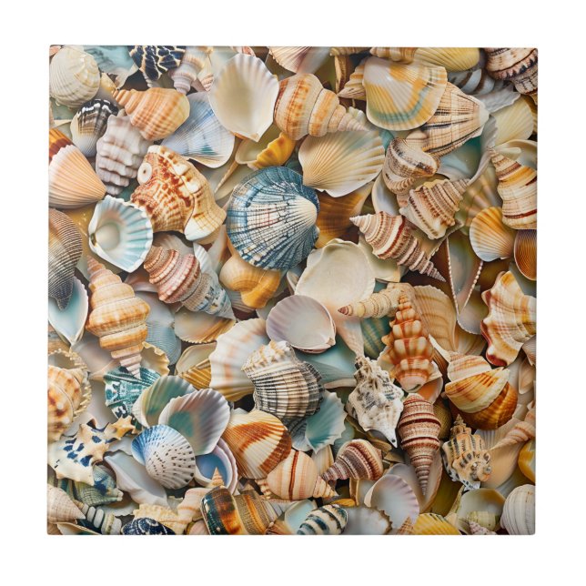 Seaside Seashells Ceramic Tile (Front)