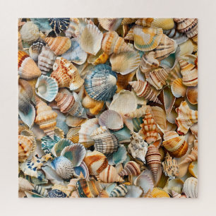 Seaside Seashells Puzzle