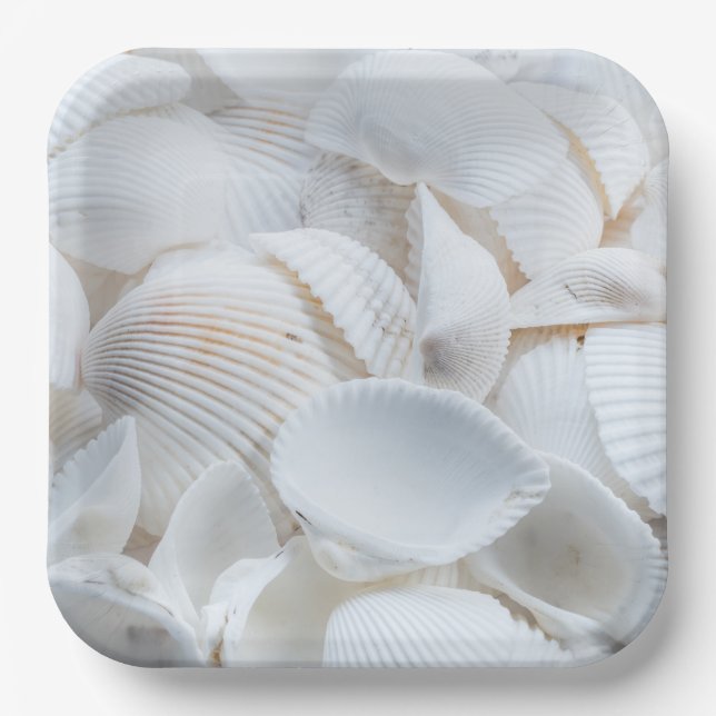 Seaside Shells Plates (Front)