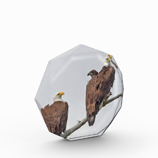 Season 12 E23 and Family Photo Block