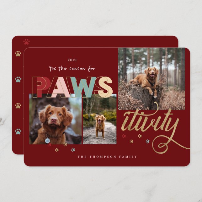 Season For Pawsitivity Fun Pet 3 Photo Collage Holiday Card (Front/Back)