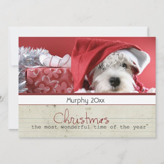 season greeting christmas pet photo cards (Front)