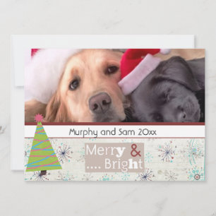 season greeting christmas pet photo cards