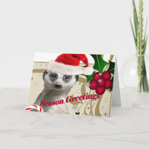 Season Greeting Meerkat Holiday Card