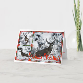 Season Greetings Buck Deer Holiday Card