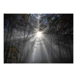 Season of silence photo print