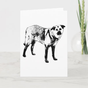 season of steady paws card