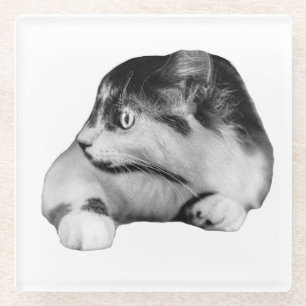 Season of Whiskers and Watch Glass Coaster