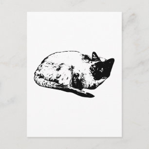 Season’s ease, whiskered friend postcard