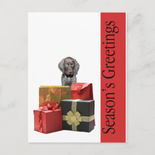 Season’s Greetings german shorthaired pointer pup Holiday Postcard