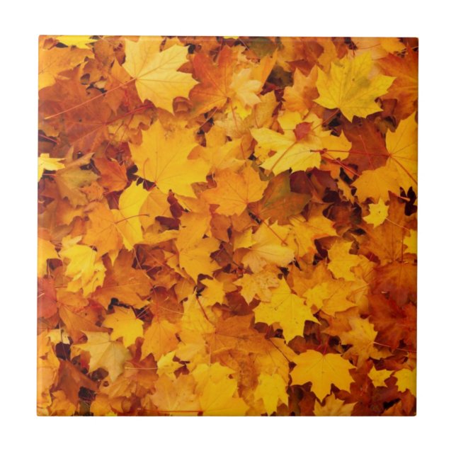 Seasonal Autumn Leaves Ceramic Tile (Front)