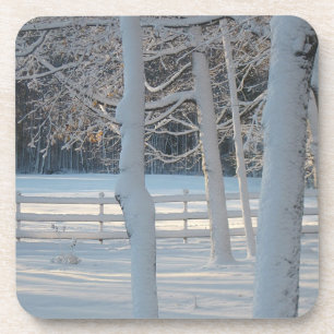 Seasonal Coaster
