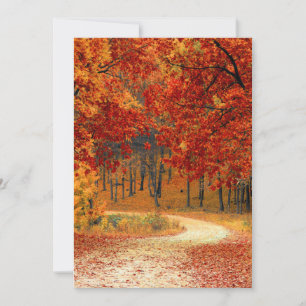Seasonal colours of Autumn Card